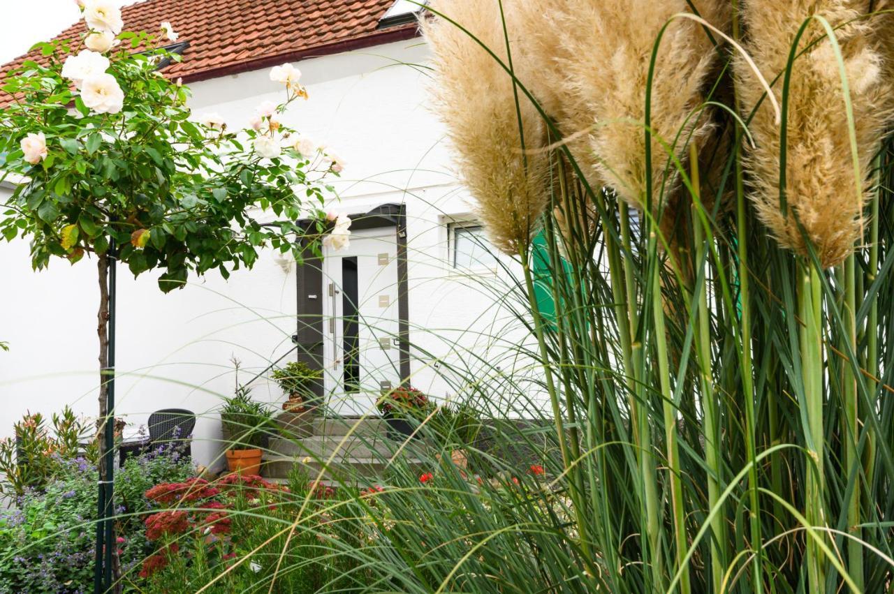 Apartament Annas Oase Meckenheim  Zewnętrze zdjęcie